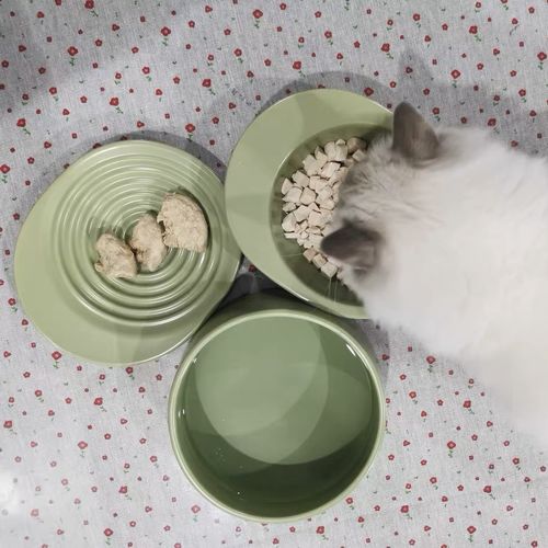 Customer photo review of Michu Premium Ceramic Cat Bowl Set for Discerning Owners