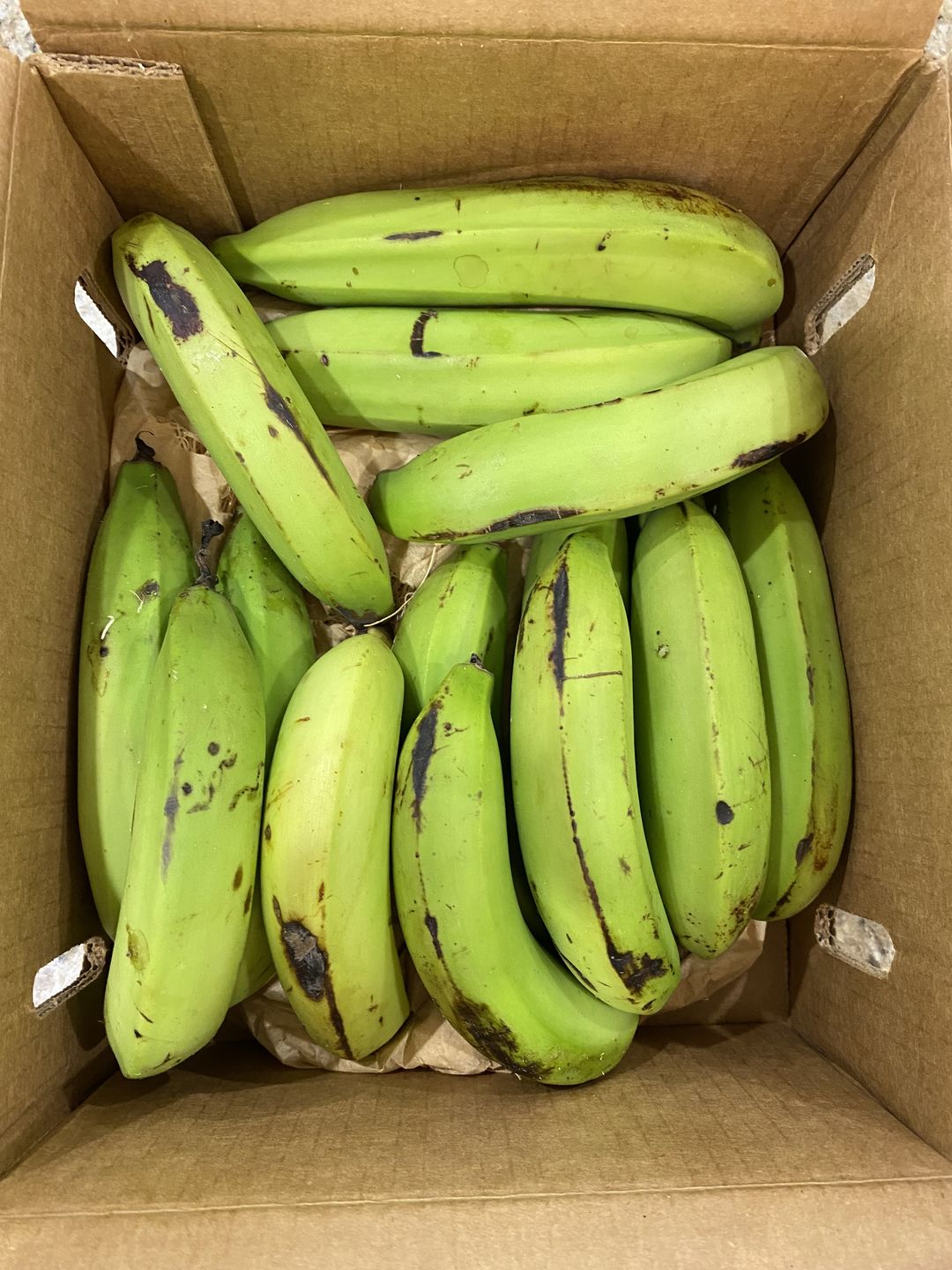 Customer photo review of Gros Michel Banana Box