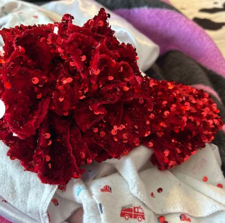 Customer photo review of Red Sequin on Velvet