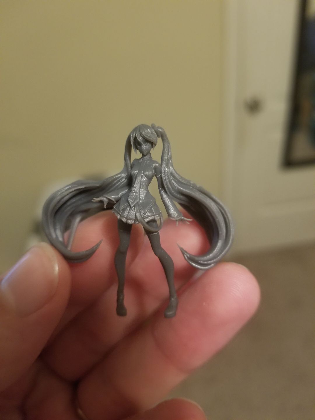 Customer photo review of Miku Hatsune - Volcaloid
