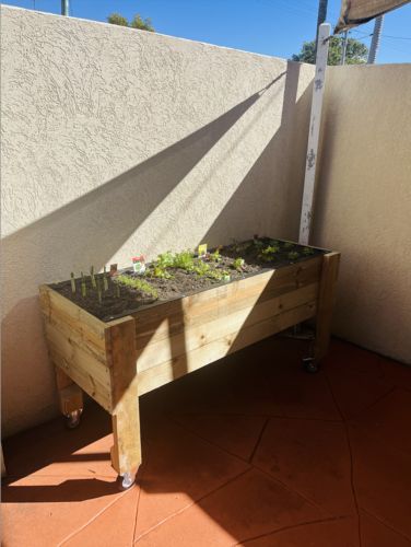 Customer photo of their LARGE Raised Garden Bed on Wheels