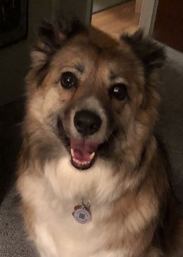 Customer photo review of Pink