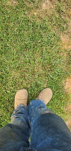 Customer photo review of Bruin