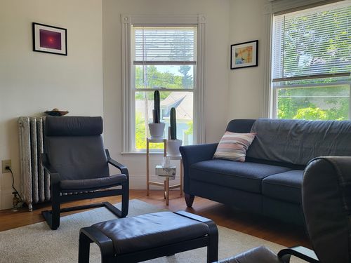 Customer photo review of San Pedro Cactus Cuttings | Trichocereus pachanoi Cuttings