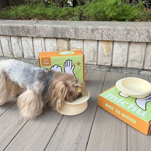 Customer photo review of Michu Premium Ceramic Cat Bowl Set for Discerning Owners