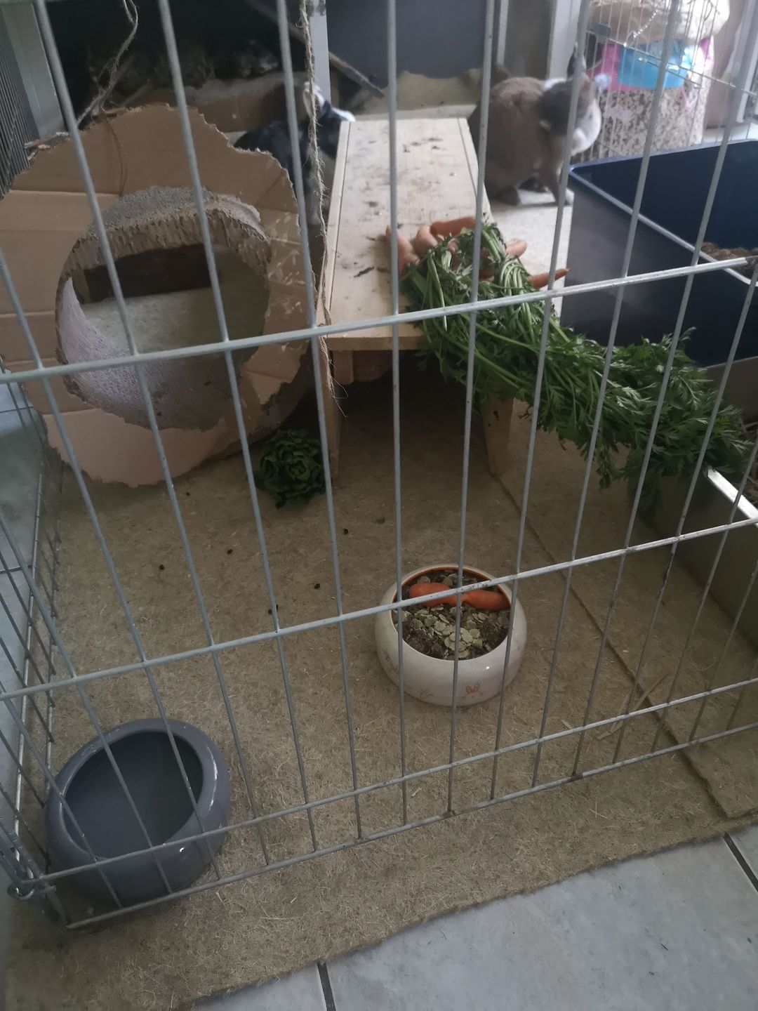 Customer photo review of Nagerteppich aus 100% Hanf auf Rolle mit 25m Länge, 60cm Breite, 5mm dick