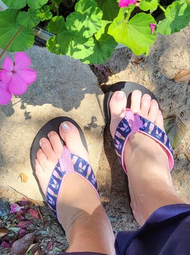 Customer photo review of Rose All Day