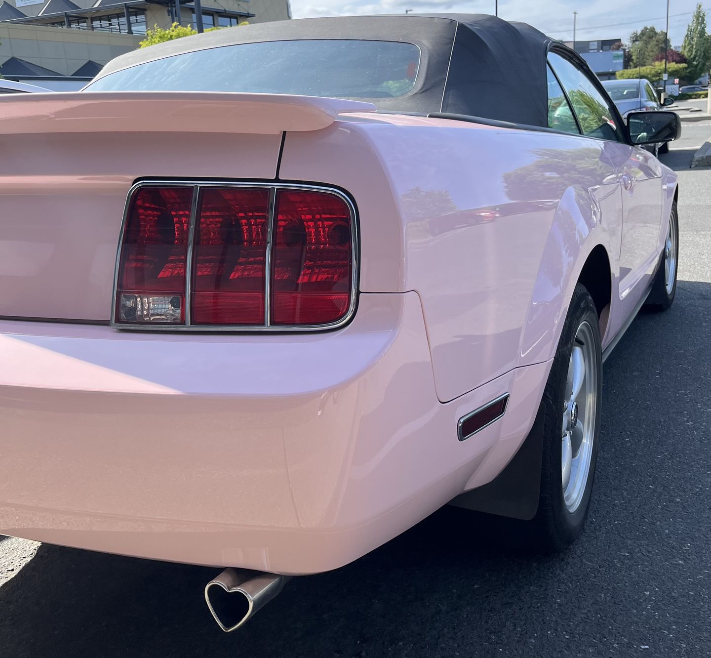 Customer photo review of High Glossy Piggy Pink Vinyl Wrap