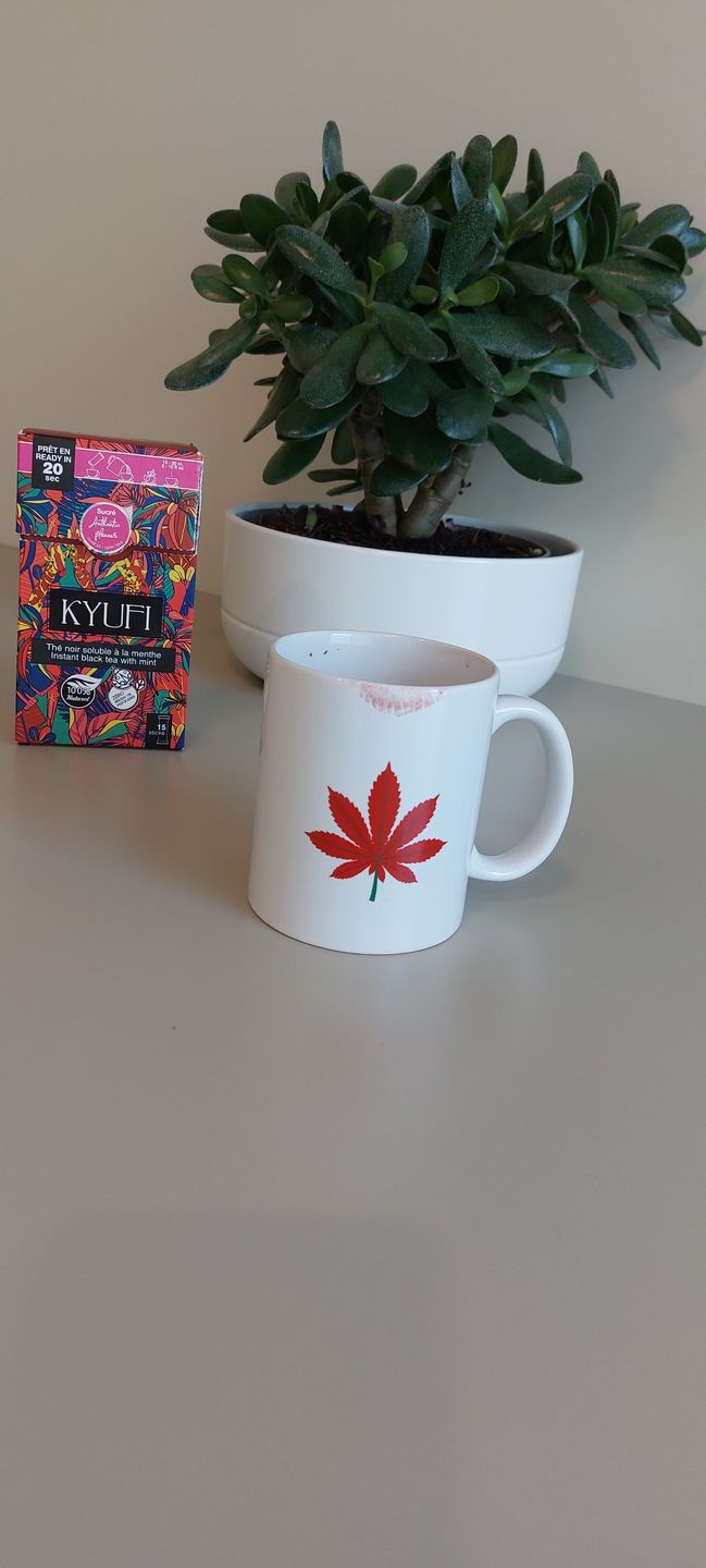 Customer photo review of Thé Noir Instantané À La Menthe - Recette Authentique