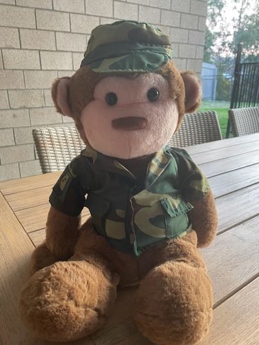 Customer photo review of Large Weighted Monkey Plush