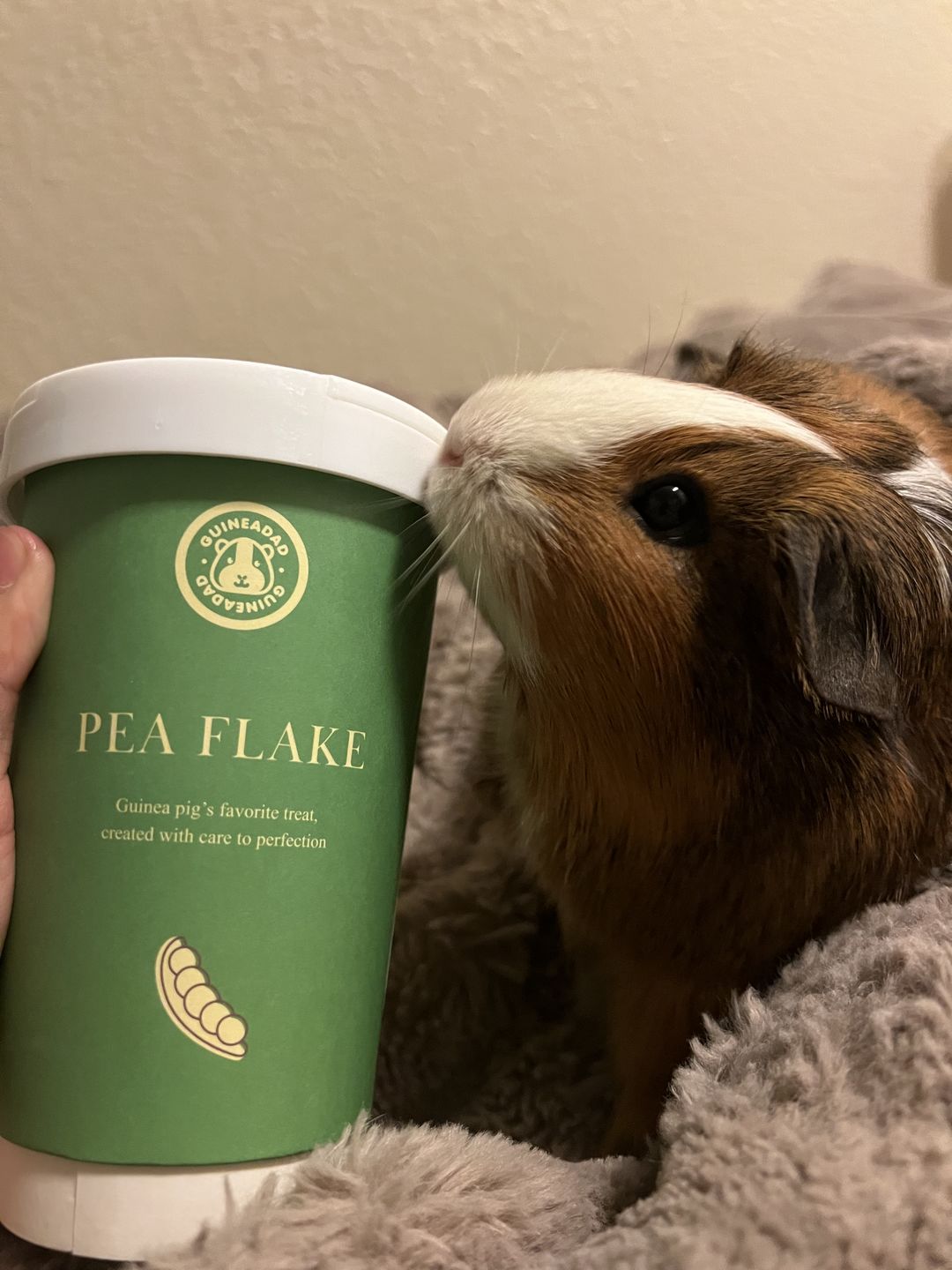 Customer photo review of Pea Flakes Treat Cup