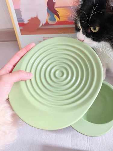 Customer photo review of Michu Premium Ceramic Cat Bowl Set for Discerning Owners