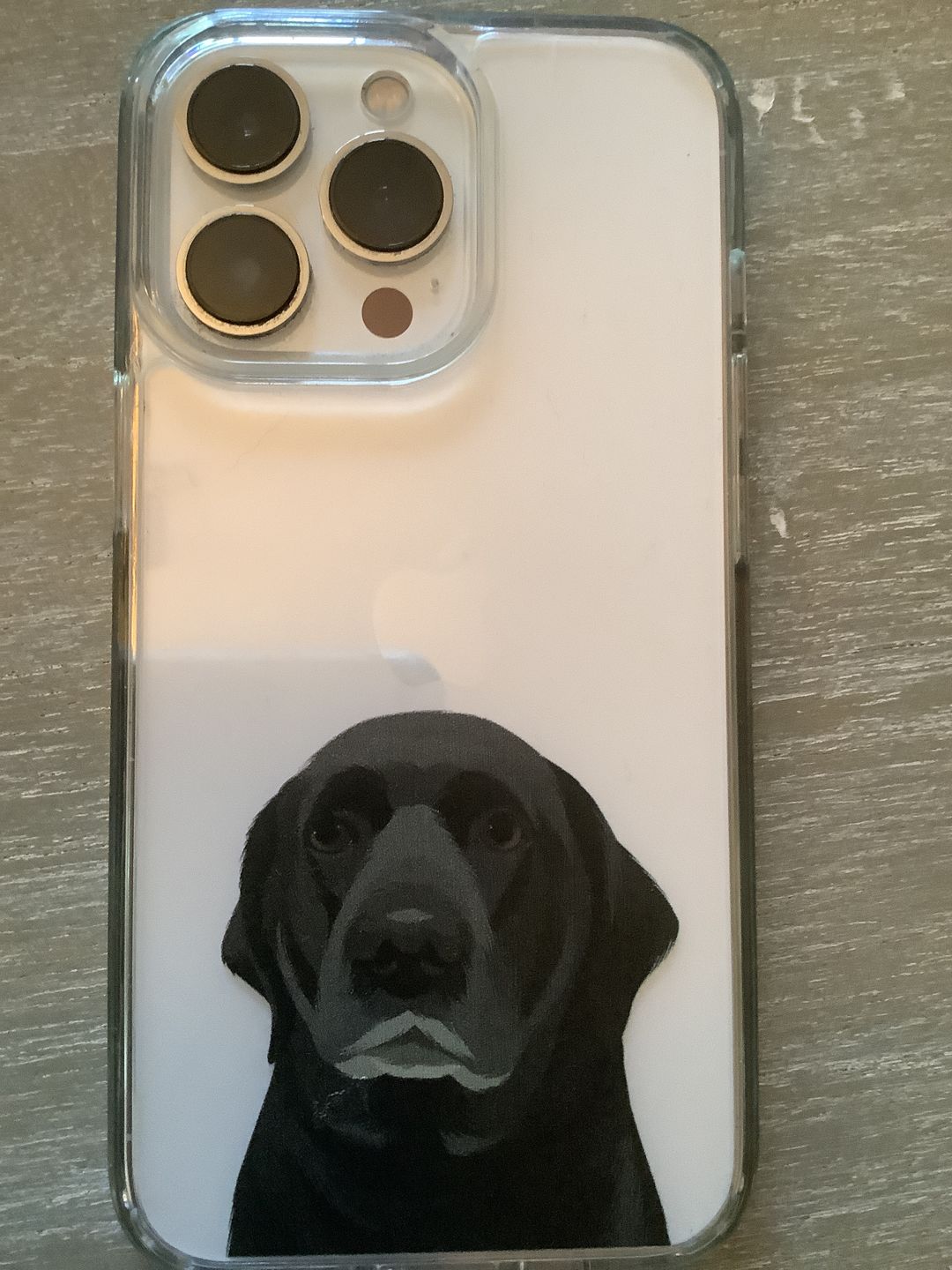 Customer photo review of Custom Pet Portrait Phone Cases