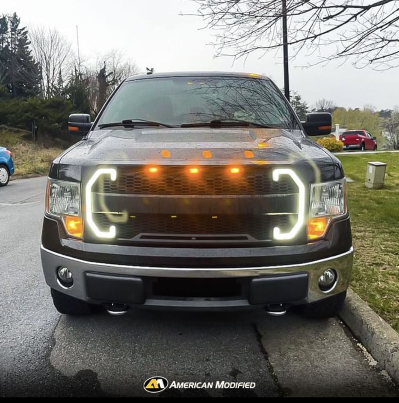 Customer photo review of Raptor Style Mesh Grille W/DRL & Turn Signal Lights For 2009-2014 Ford F150 - Matte Black