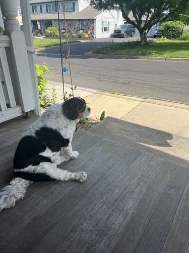 Customer photo review of Pink Silicone