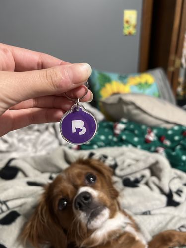 Customer photo review of Purple
