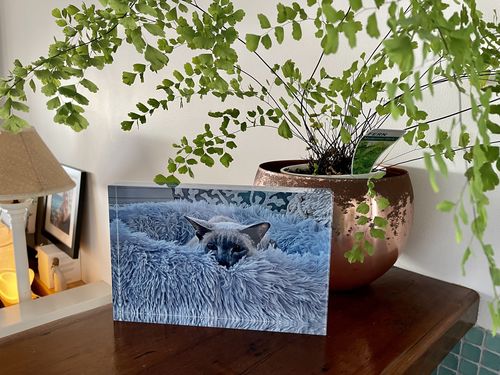 Customer photo review of 15 x 23 cm Free Standing Acrylic Photo Block