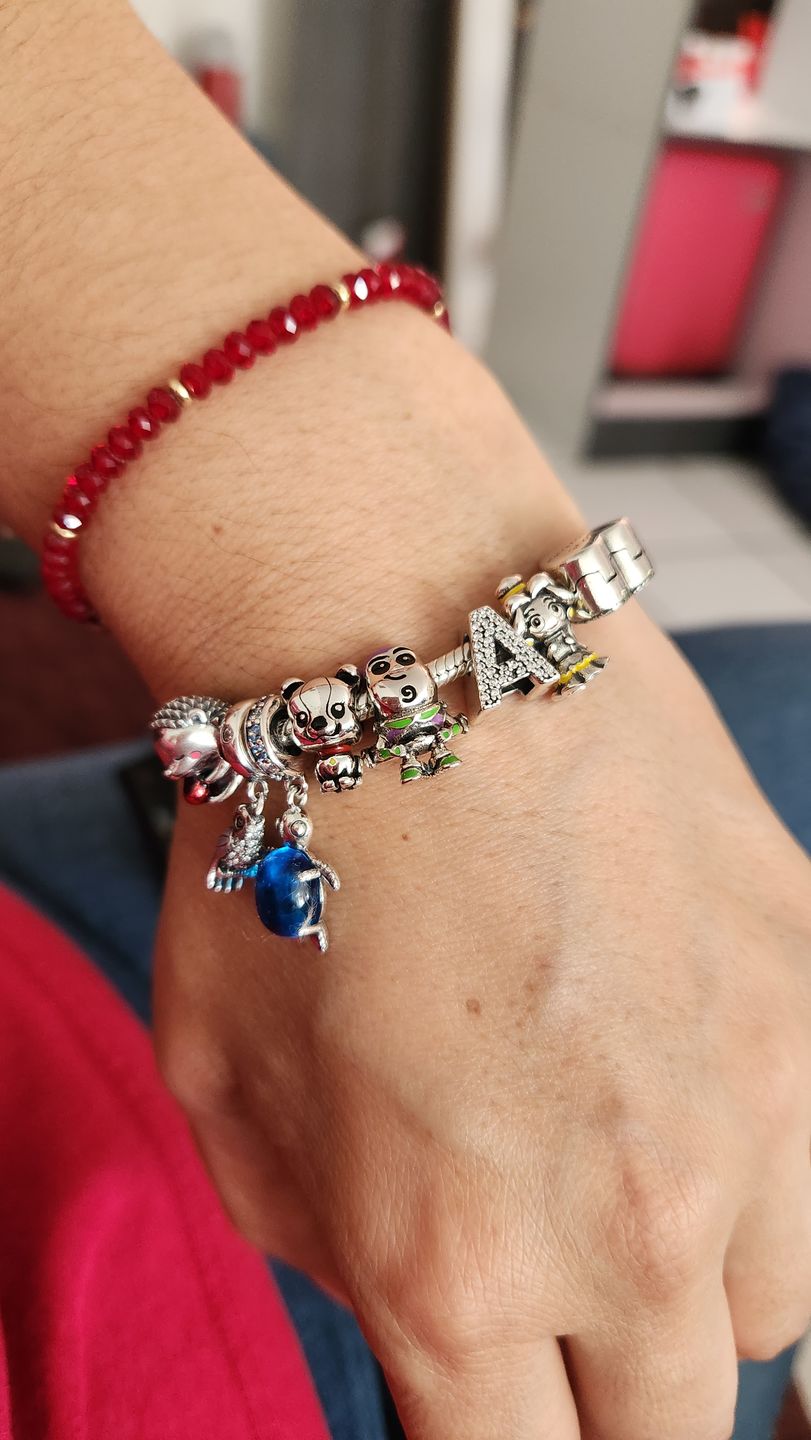 Customer photo review of Charm Tortuga
