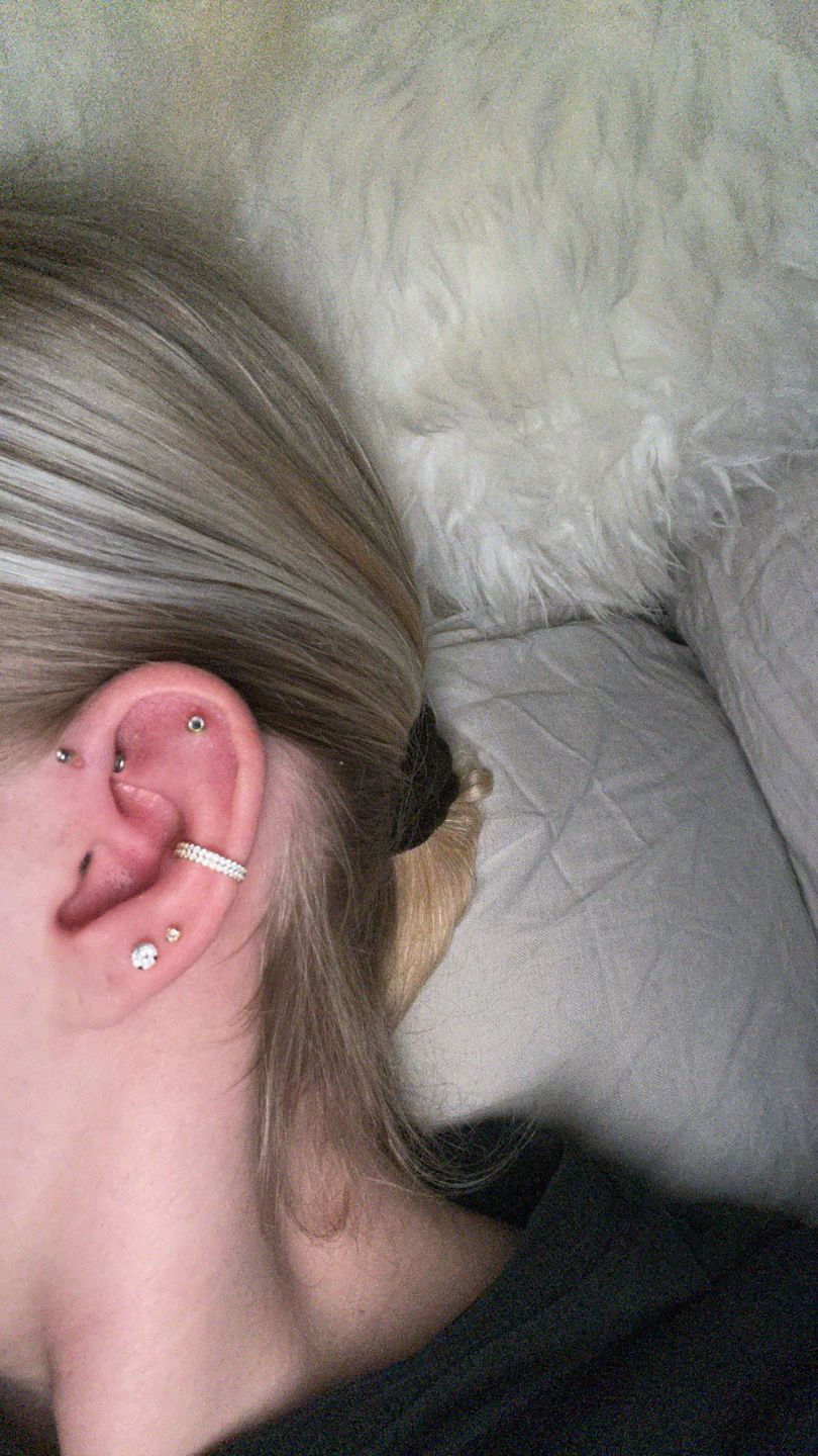 Customer photo review of Double Conch Piercing | Titan