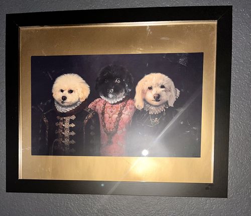 Customer photo review of 'The Duke Family' Personalized 3 Pet Poster