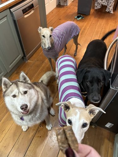 Customer photo review of Sausage Treats- Party Mix! (Combination)