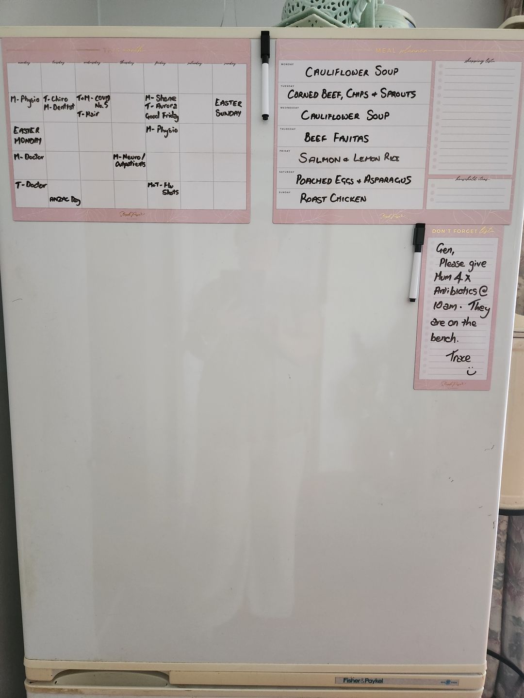 Customer photo review of NEW Blush Magnet Planner Set