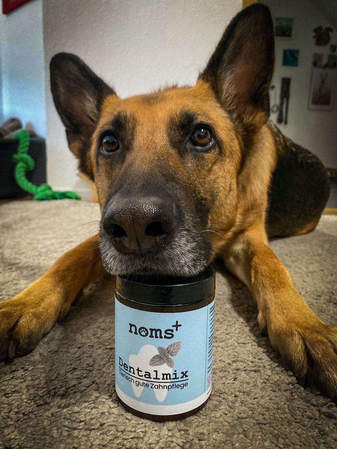 Customer photo review of Dentalmix für Hunde zur Zahnpflege und für frischen Atem