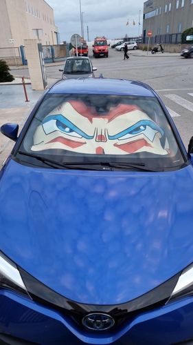 Customer photo review of Vegeta Saiyan Blue Car Sunshade Anime DBZ Car Accessories
