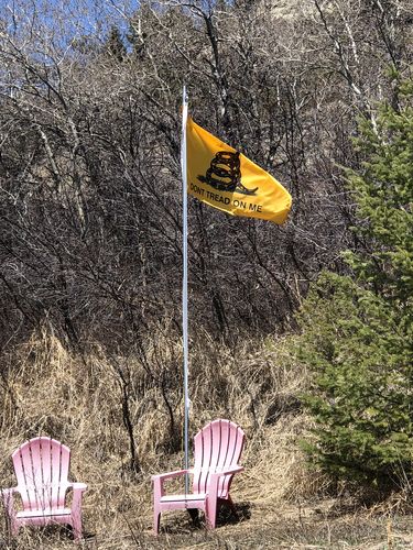 Customer photo review of 3x5ft Premium Quality Gadsden Flag