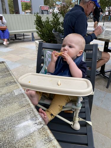 Customer photo review of Parker baby chair v2