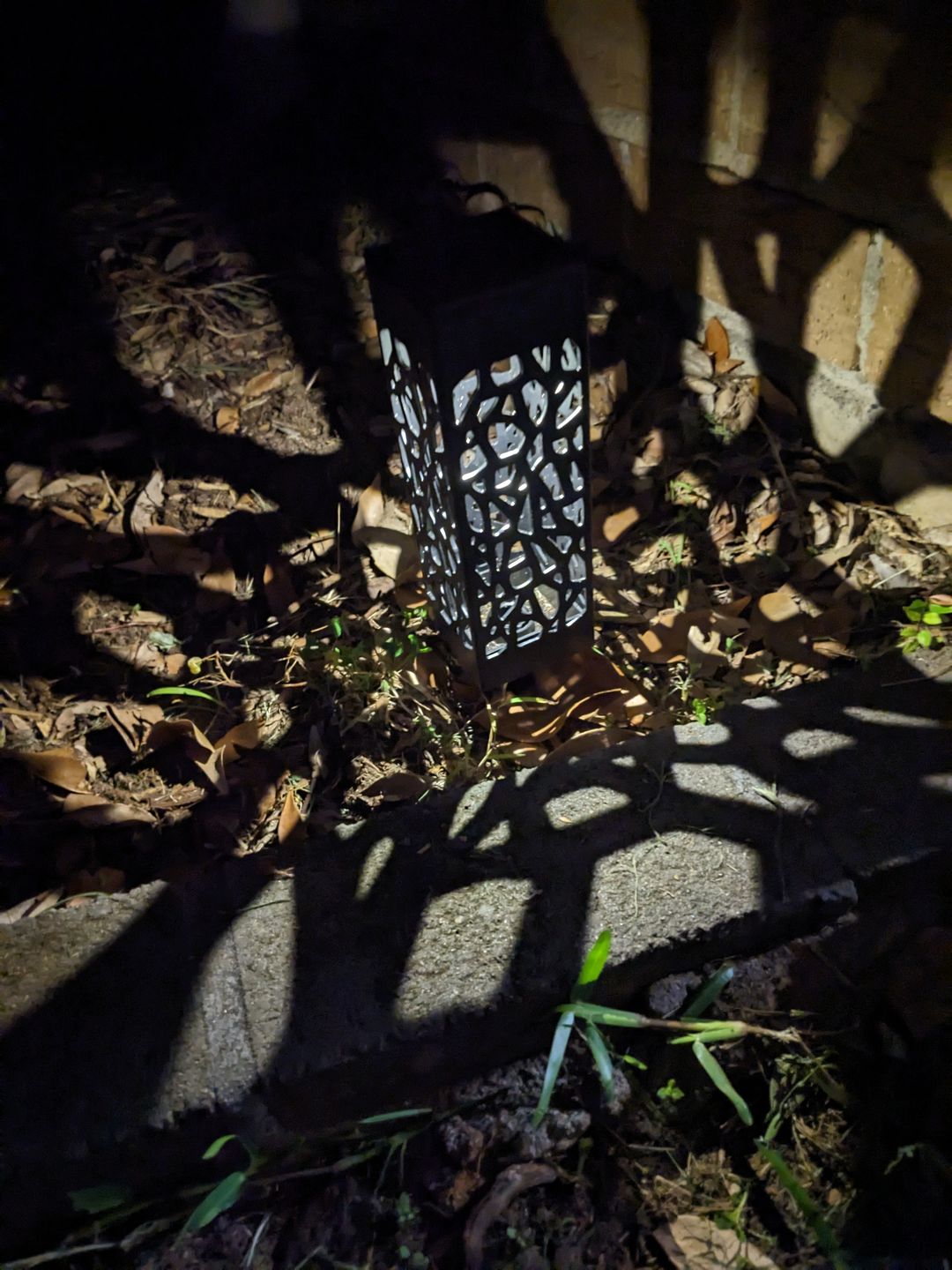 Customer photo review of SolaGarden™ Pattern Light Pack