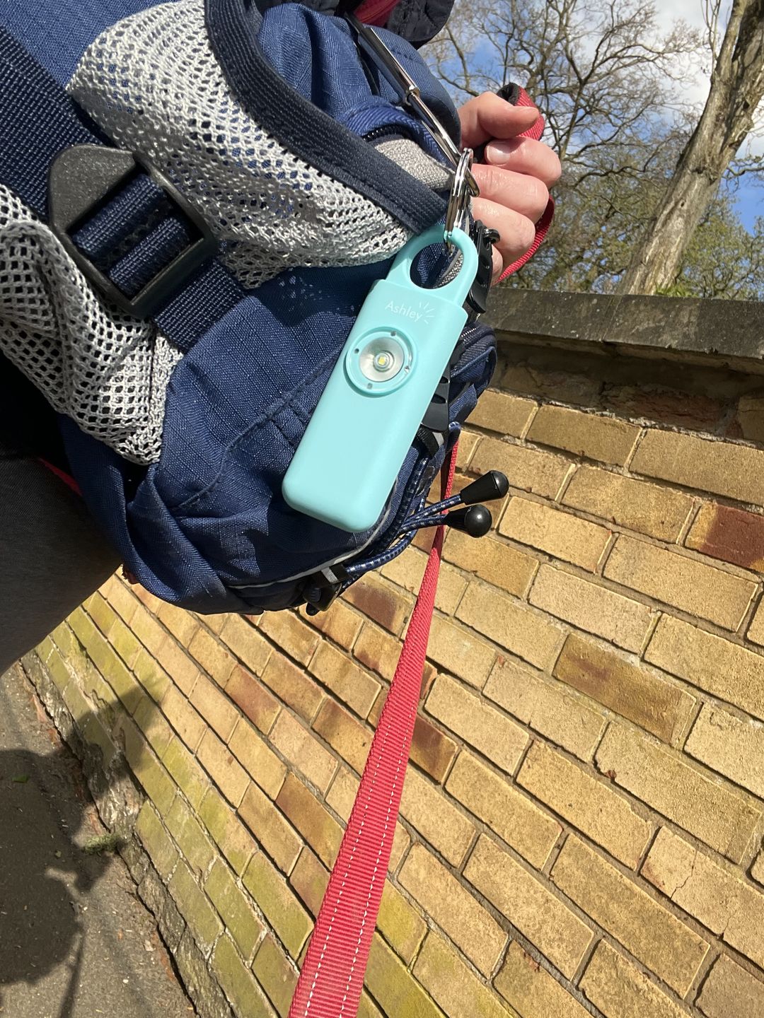 Customer photo review of The Ashley Personal Safety Alarm