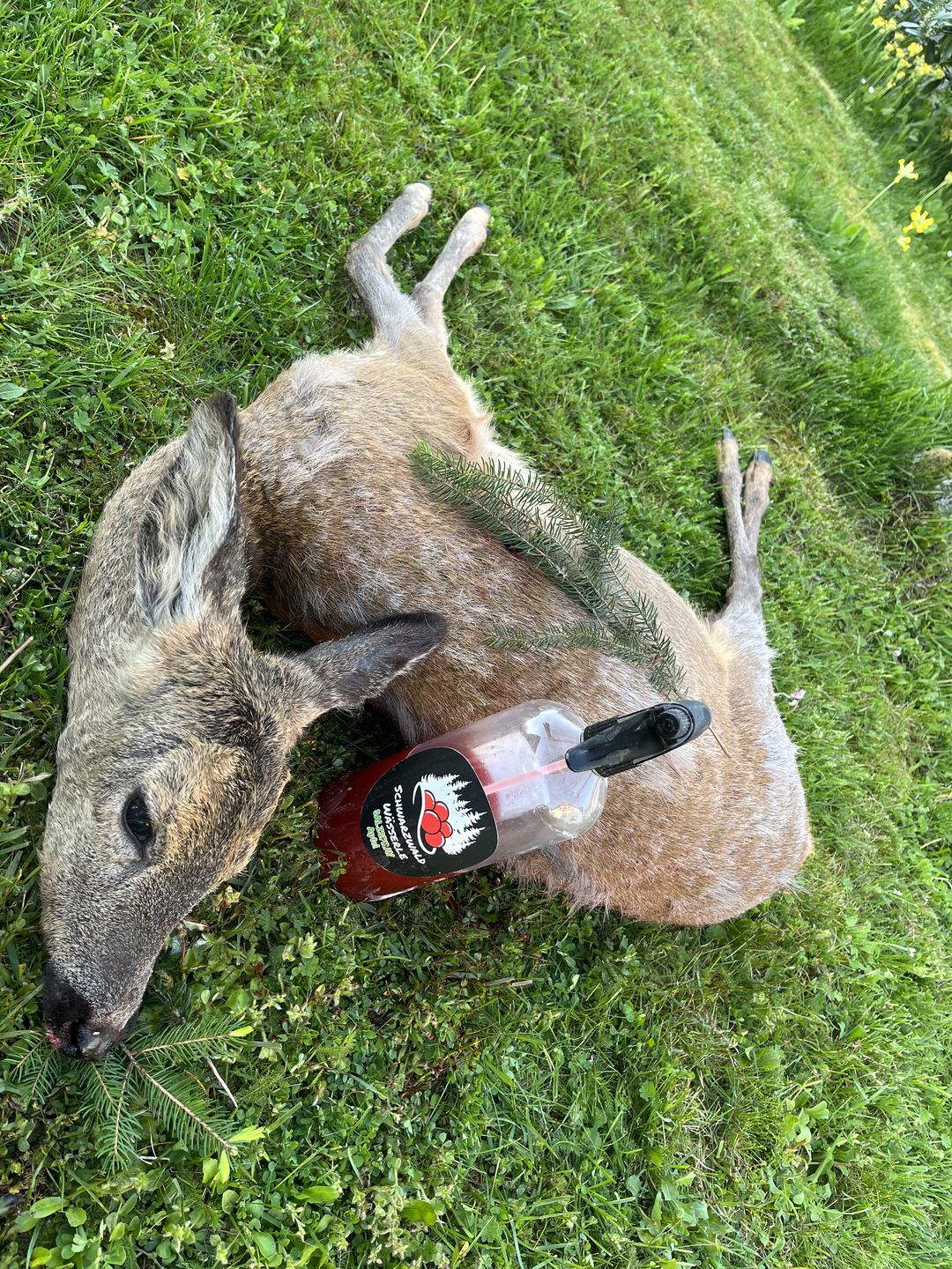 Customer photo review of Salzspray Apfel - Lockmittel Rehwild, Schwarzwild, Rotwild und Damwild