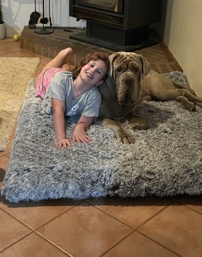 Customer photo review of PaWz  Multimat