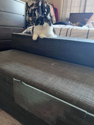 Customer photo review of Scratch Free Furniture Protector 8pcs (30x45cm) - 50% OFF Today Only