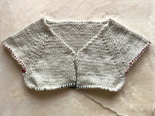 Customer photo review of Clase Chaleco Calma | Adulto