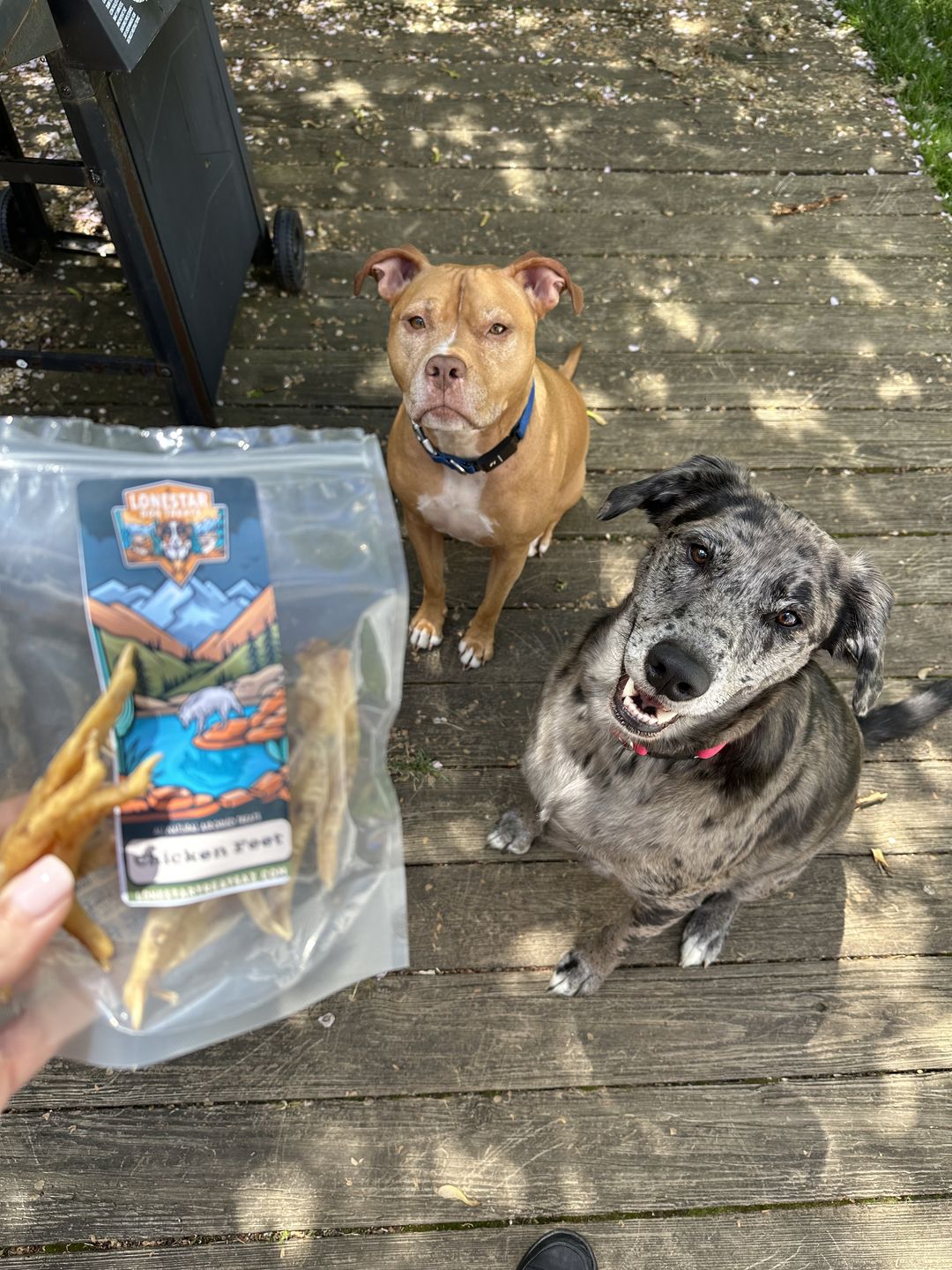 Customer photo review of Chicken Feet