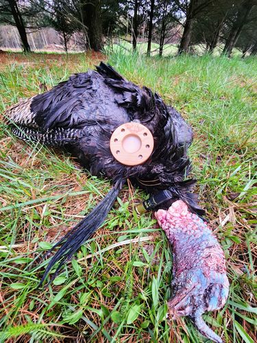 Customer photo review of Ceramic Over Glass All Weather Pot Call
