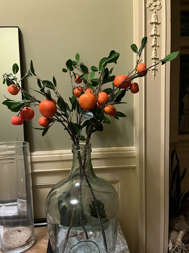 Customer photo review of Bulk 34" Tangerine Stems Branches Artificial Fruits Wholesale