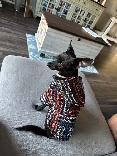 Customer photo review of Playa Poncho - Surprise Color