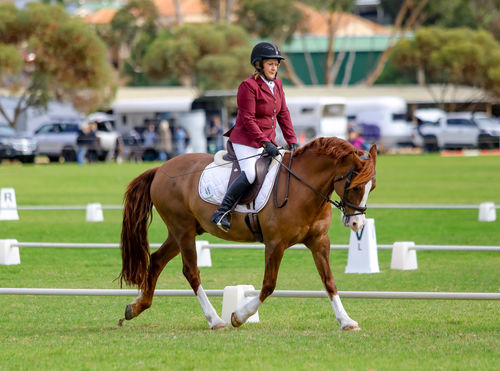 Customer photo review of LE Daylesford Tall Field Boot