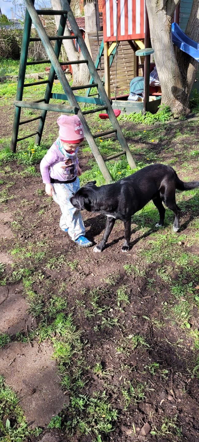 Customer photo review of Kinder Barfußschuhe Chaser Fast Ⅰ