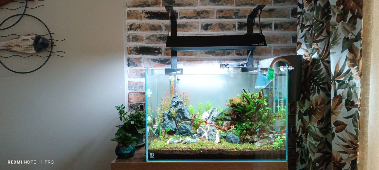 Customer photo review of chihiros small stand for RGB VIVID and WRGB