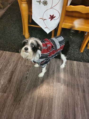 Customer photo review of Playa Poncho - Surprise Color