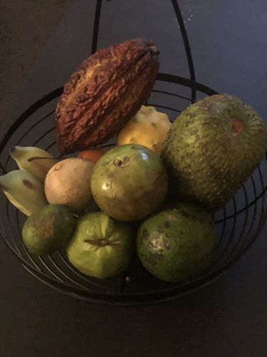 Customer photo review of Tropical Variety Box