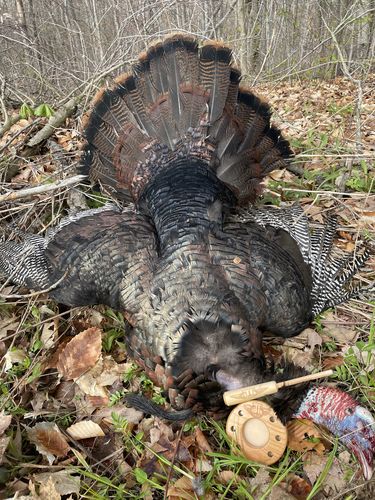 Customer photo review of Ceramic Over Glass All Weather Pot Call