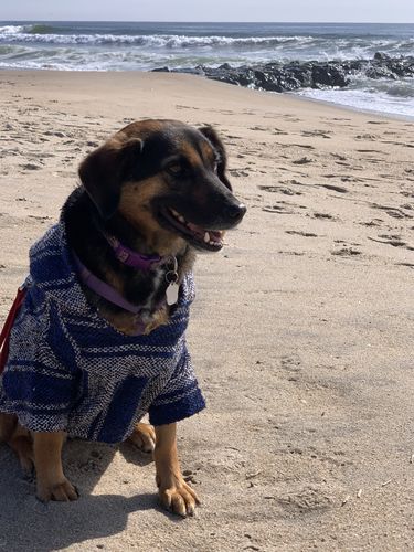 Customer photo review of Playa Poncho - Surprise Color