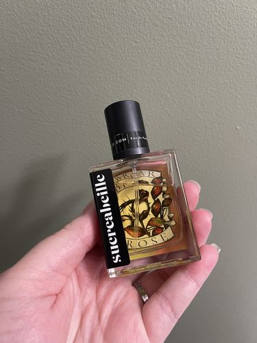 Customer photo review of Chapter 1: Briar Rose