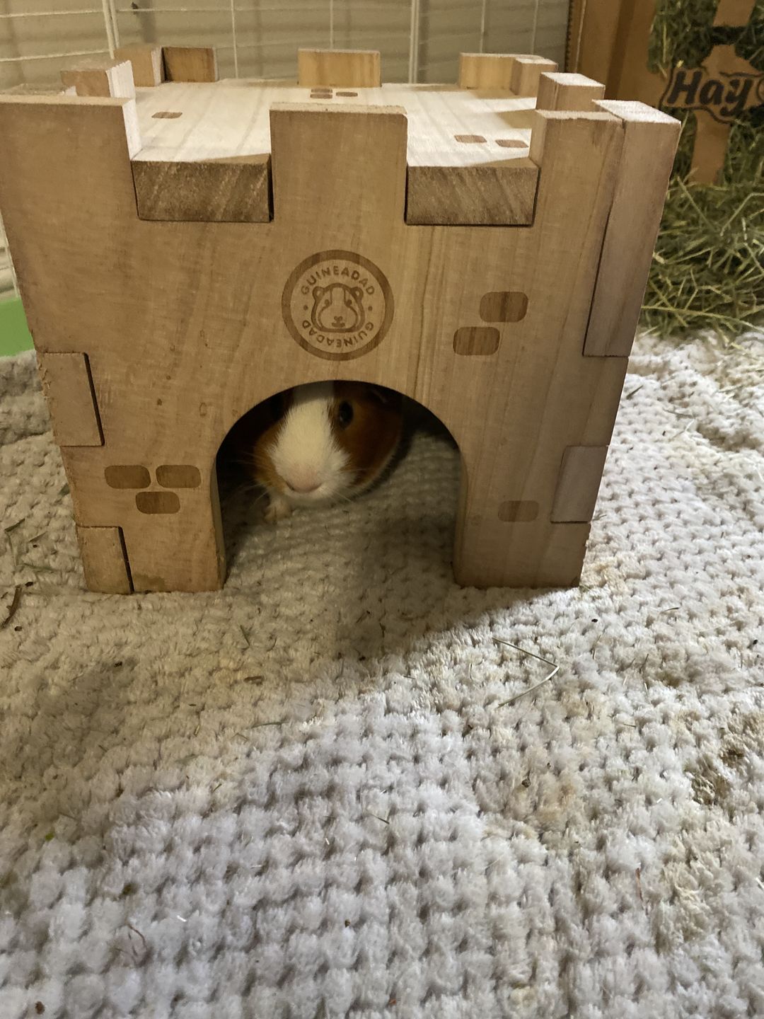 Customer photo review of GuineaDad Wooden Castle