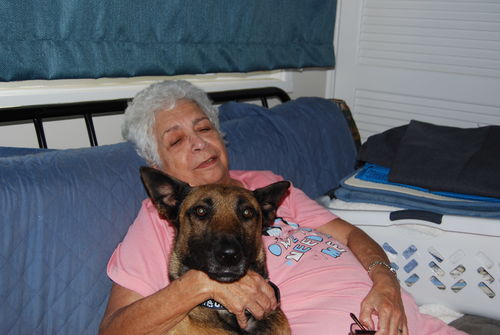 Customer photo review of Barktec Ultrasonic Dog Training Anti-Bark Device